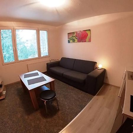 Ferienwohnung Garsonka Hlinik Třeboň Exterior foto